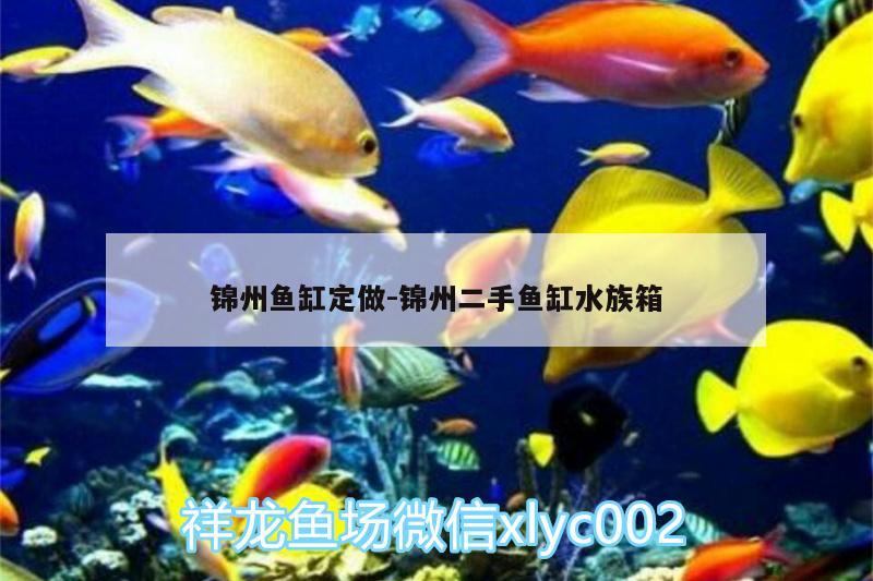 錦州魚缸定做:錦州二手魚缸水族箱 魚缸/水族箱