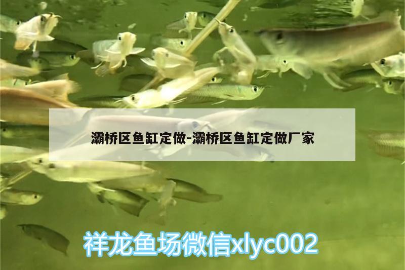 灞橋區(qū)魚(yú)缸定做:灞橋區(qū)魚(yú)缸定做廠家