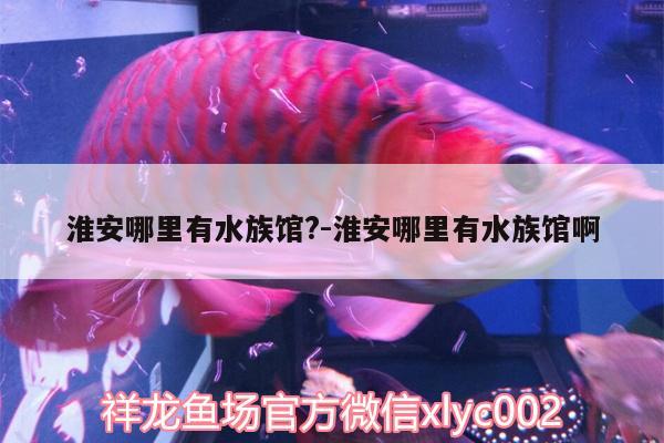 淮安哪里有水族館?:淮安哪里有水族館啊