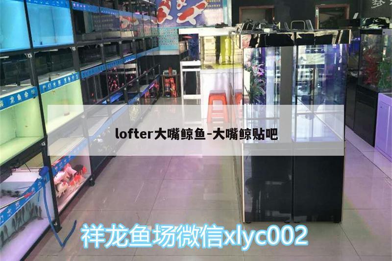 lofter大嘴鯨魚:大嘴鯨貼吧 大嘴鯨魚