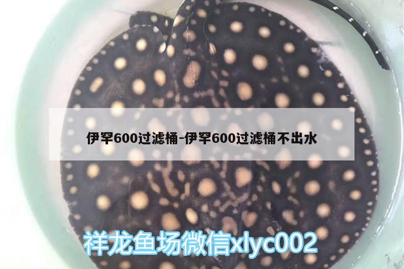 伊罕600過濾桶:伊罕600過濾桶不出水