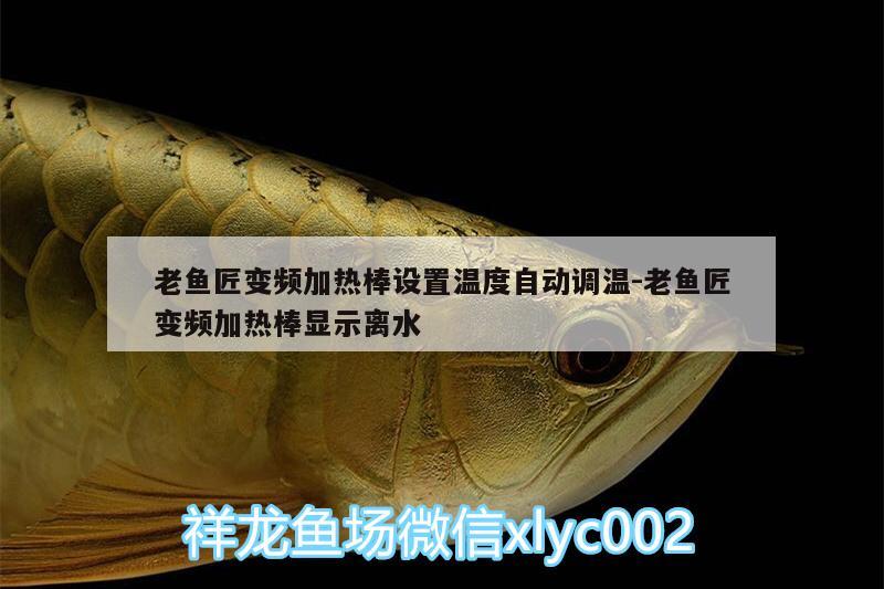 老魚(yú)匠變頻加熱棒設(shè)置溫度自動(dòng)調(diào)溫:老魚(yú)匠變頻加熱棒顯示離水 老魚(yú)匠