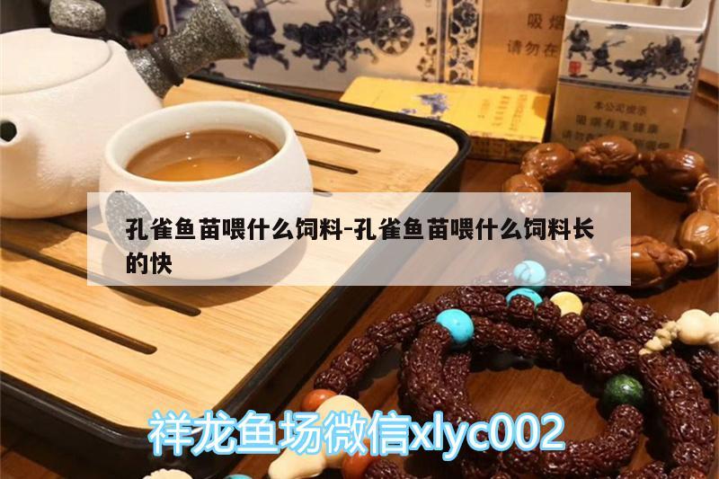 孔雀魚苗喂什么飼料:孔雀魚苗喂什么飼料長的快 帝王迷宮魚