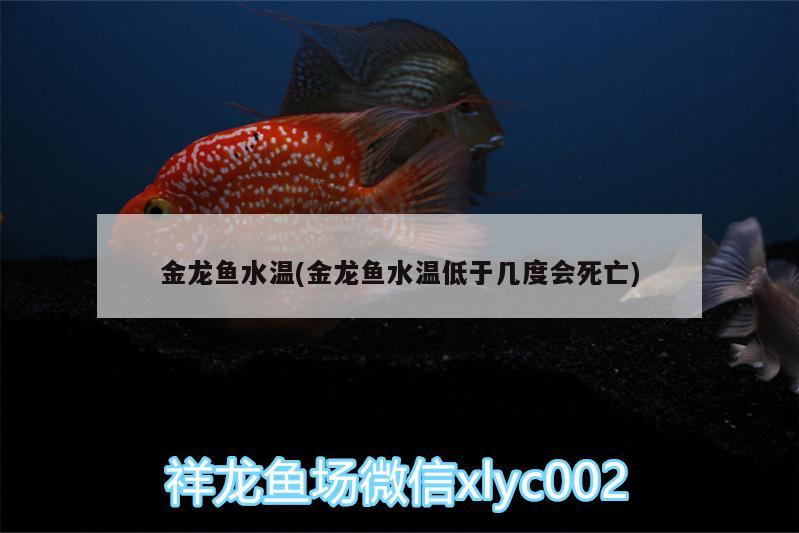 金龍魚水溫(金龍魚水溫低于幾度會(huì)死亡)