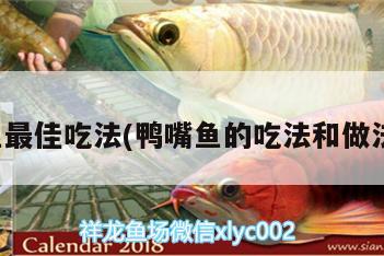 鴨嘴魚最佳吃法(鴨嘴魚的吃法和做法竅門) 胭脂孔雀龍魚