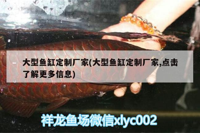 大型魚缸定制廠家(大型魚缸定制廠家,點擊了解更多信息) 潛水泵