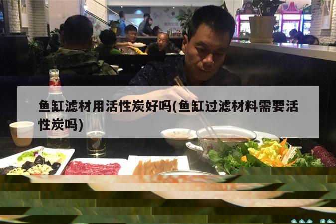 魚缸濾材用活性炭好嗎(魚缸過濾材料需要活性炭嗎)