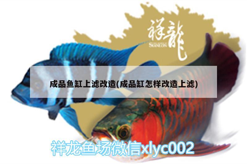 成品魚缸上濾改造(成品缸怎樣改造上濾)