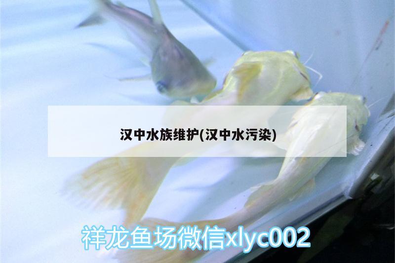 漢中水族維護(hù)(漢中水污染)