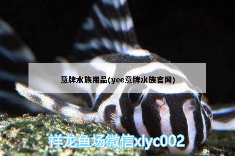 意牌水族用品(yee意牌水族官網) yee