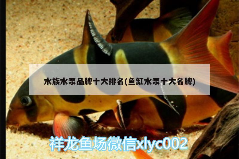 水族水泵品牌十大排名(魚缸水泵十大名牌)