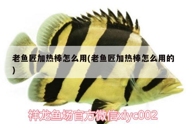 老魚匠加熱棒怎么用(老魚匠加熱棒怎么用的) 老魚匠