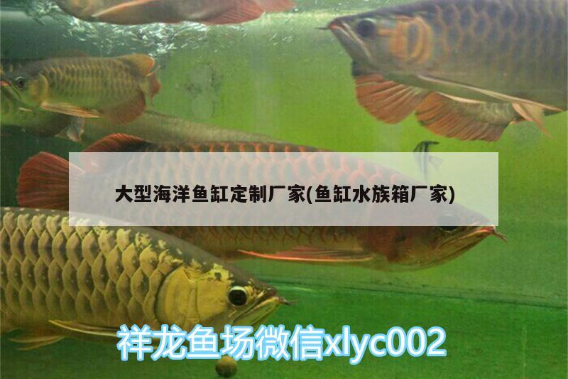 大型海洋魚缸定制廠家(魚缸水族箱廠家) 魚缸/水族箱