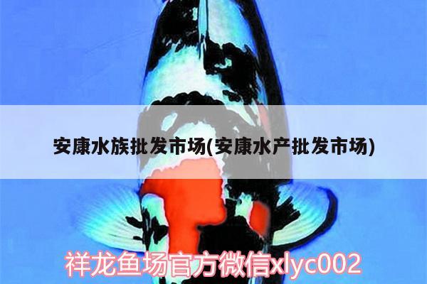 安康水族批發(fā)市場(chǎng)(安康水產(chǎn)批發(fā)市場(chǎng))