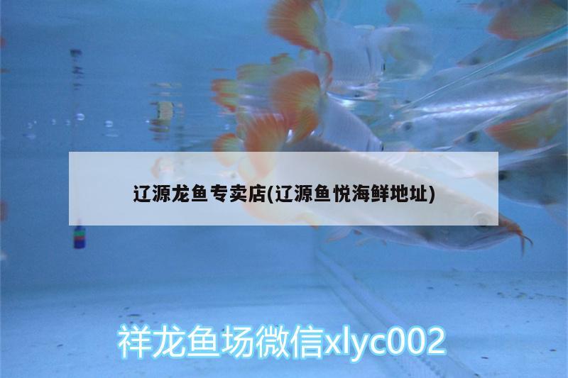 遼源龍魚專賣店(遼源魚悅海鮮地址) 非洲象鼻魚