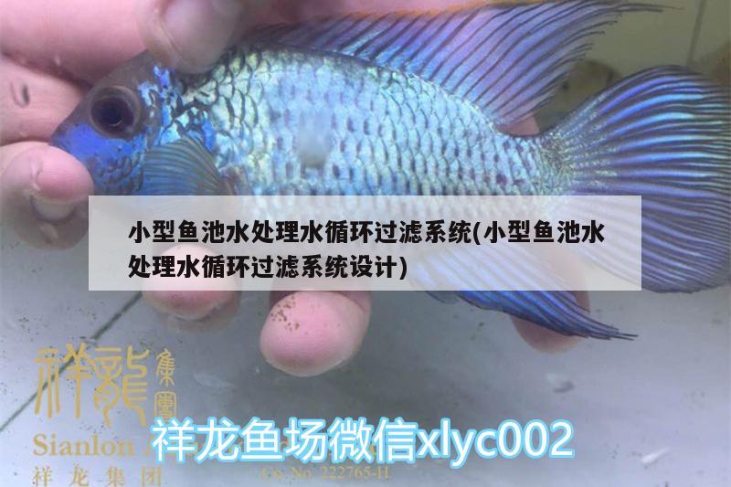 小型魚(yú)池水處理水循環(huán)過(guò)濾系統(tǒng)(小型魚(yú)池水處理水循環(huán)過(guò)濾系統(tǒng)設(shè)計(jì)) 祥龍超血紅龍魚(yú)