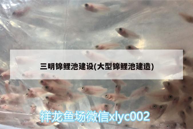 三明錦鯉池建設(shè)(大型錦鯉池建造) 祥龍龍魚專用水族燈