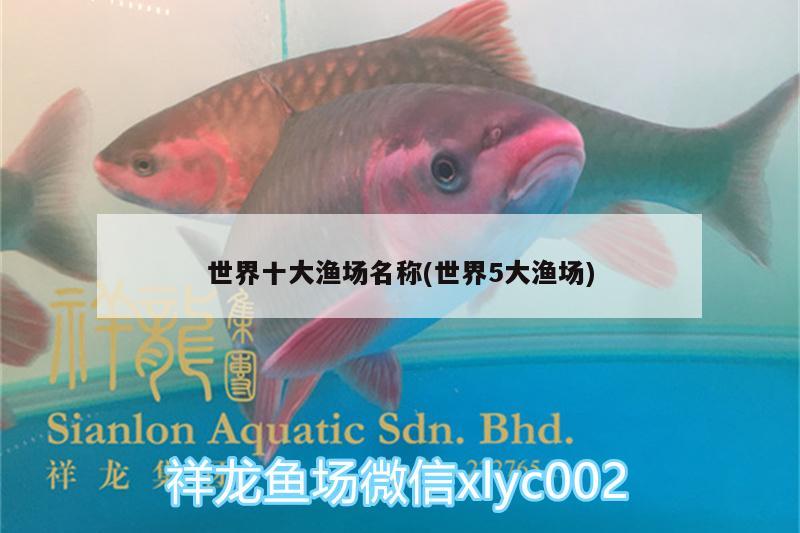 世界十大漁場名稱(世界5大漁場) 虎紋銀版魚