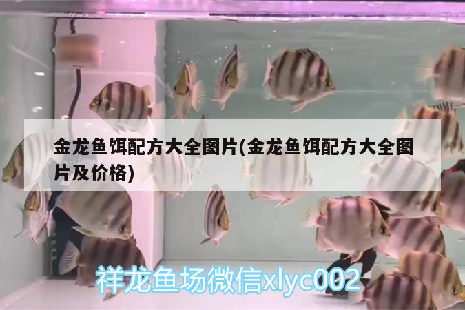 金龍魚餌配方大全圖片(金龍魚餌配方大全圖片及價格) 金龍魚糧