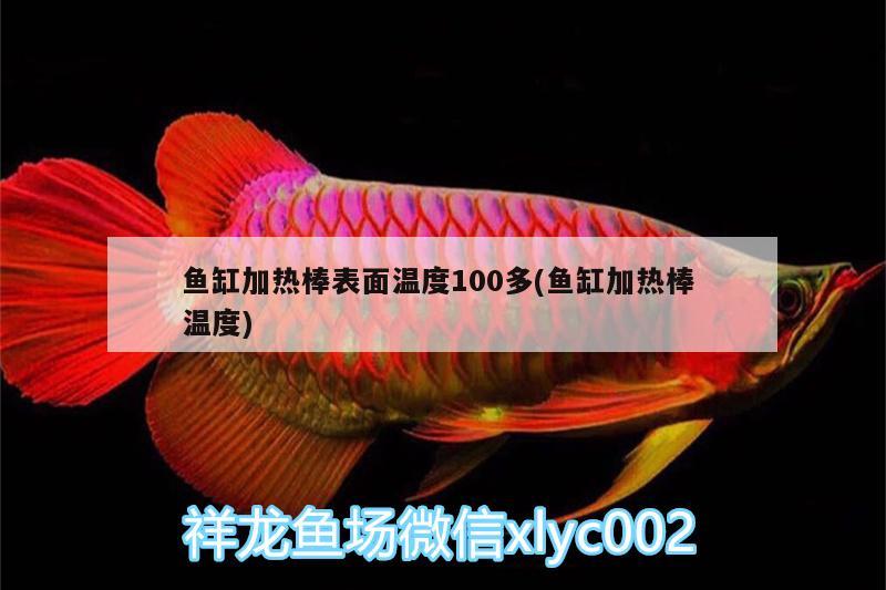 魚缸加熱棒表面溫度100多(魚缸加熱棒溫度)