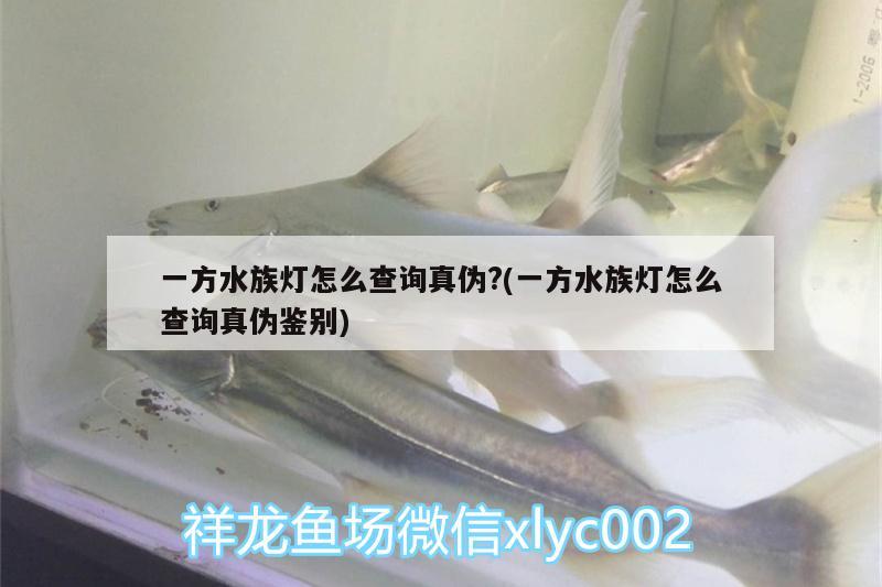 一方水族燈怎么查詢真?zhèn)?(一方水族燈怎么查詢真?zhèn)舞b別)