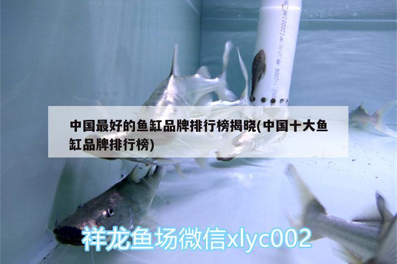 中國最好的魚缸品牌排行榜揭曉(中國十大魚缸品牌排行榜) 龍魚專用燈