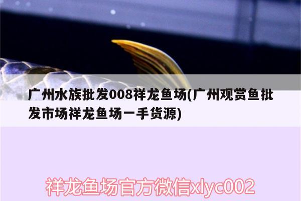 廣州水族批發(fā)008祥龍魚場(廣州觀賞魚批發(fā)市場祥龍魚場一手貨源)