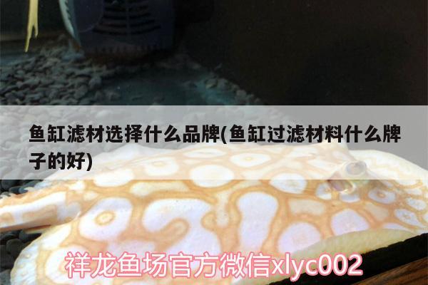 魚缸濾材選擇什么品牌(魚缸過濾材料什么牌子的好)