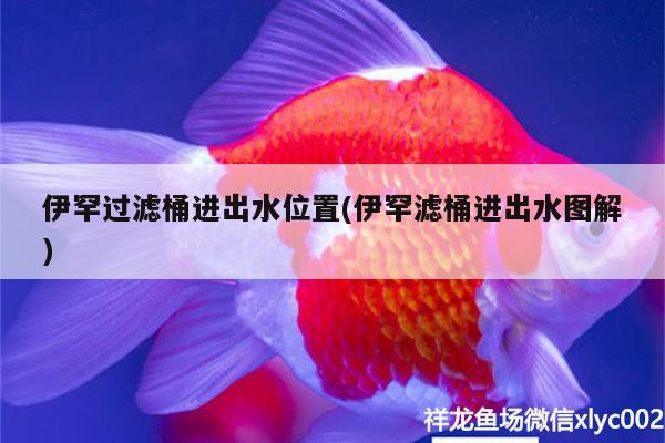 伊罕過(guò)濾桶進(jìn)出水位置(伊罕濾桶進(jìn)出水圖解) 伊罕水族