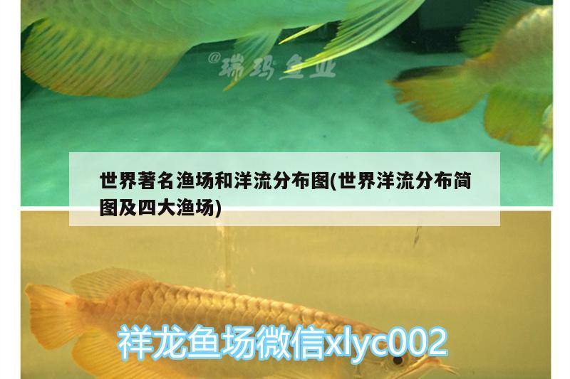 世界著名漁場和洋流分布圖(世界洋流分布簡圖及四大漁場) 黑云魚