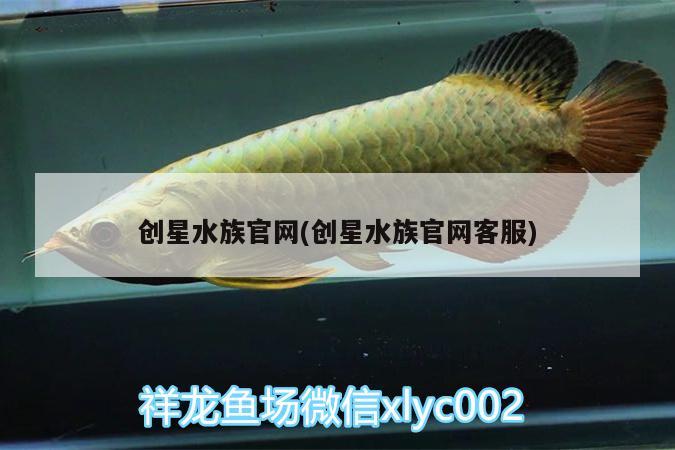 創(chuàng)星水族官網(wǎng)(創(chuàng)星水族官網(wǎng)客服)