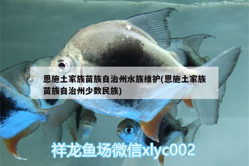 恩施土家族苗族自治州水族維護(hù)(恩施土家族苗族自治州少數(shù)民族)