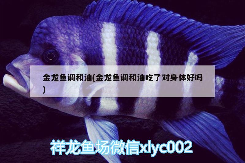 金龍魚調(diào)和油(金龍魚調(diào)和油吃了對身體好嗎) 羅漢魚批發(fā)