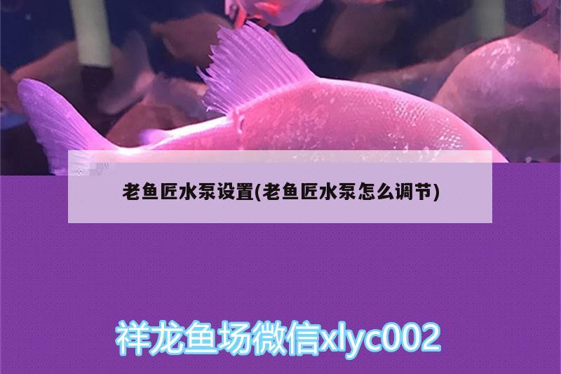 老魚匠水泵設(shè)置(老魚匠水泵怎么調(diào)節(jié)) 老魚匠