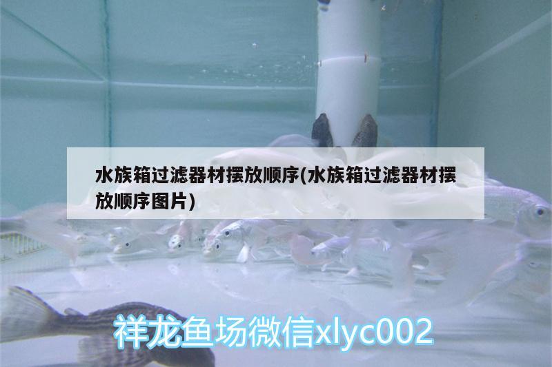 水族箱過濾器材擺放順序(水族箱過濾器材擺放順序圖片) 魚缸/水族箱