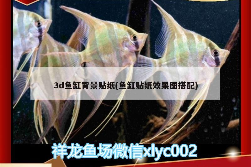 3d魚缸背景貼紙(魚缸貼紙效果圖搭配)