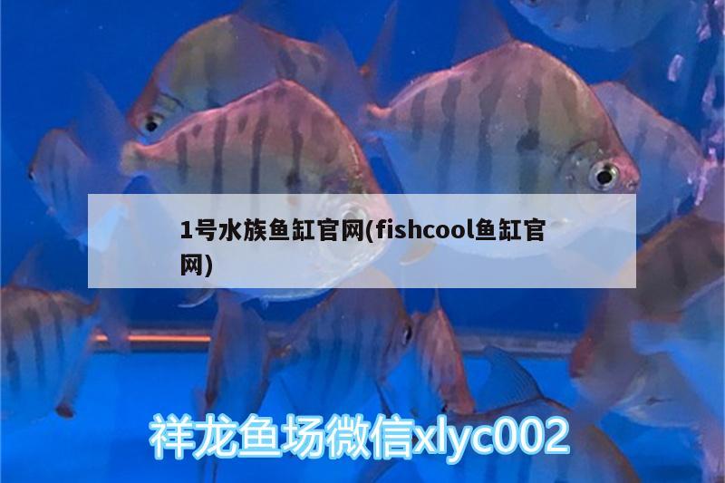 1號(hào)水族魚缸官網(wǎng)(fishcool魚缸官網(wǎng)) 藍(lán)底過背金龍魚