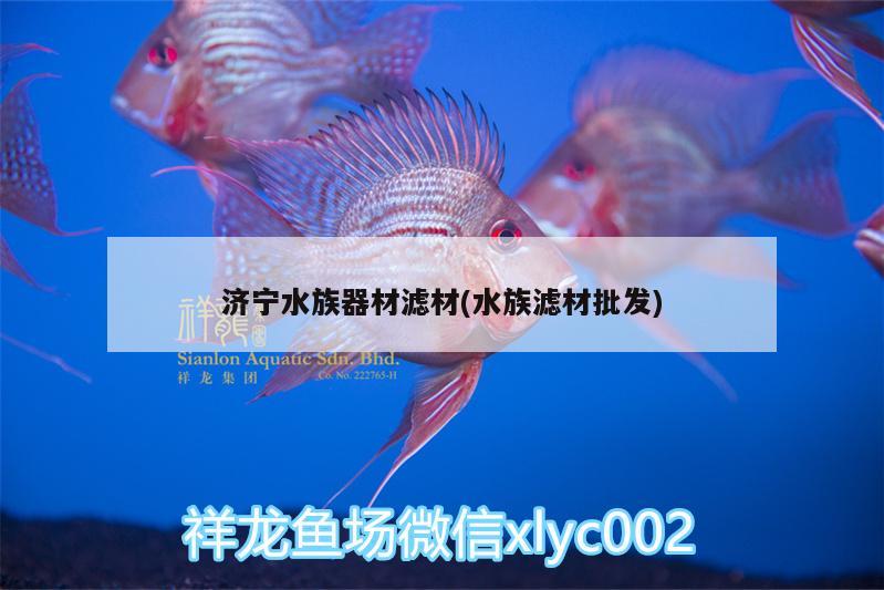 濟寧水族器材濾材(水族濾材批發(fā))