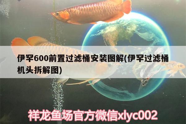 伊罕600前置過濾桶安裝圖解(伊罕過濾桶機頭拆解圖) 伊罕水族