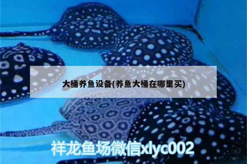 大桶養(yǎng)魚設(shè)備(養(yǎng)魚大桶在哪里買)