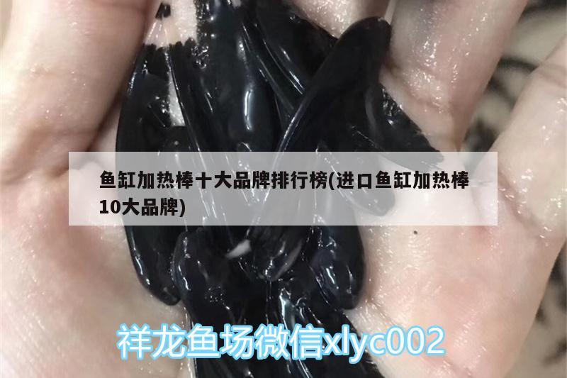 魚缸加熱棒十大品牌排行榜(進口魚缸加熱棒10大品牌)