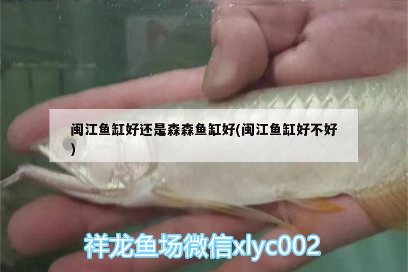 閩江魚缸好還是森森魚缸好(閩江魚缸好不好)