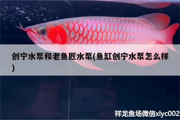 創(chuàng)寧水泵和老魚(yú)匠水泵(魚(yú)缸創(chuàng)寧水泵怎么樣)