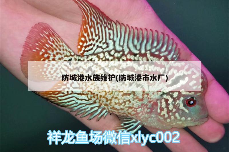 防城港水族維護(hù)(防城港市水廠)