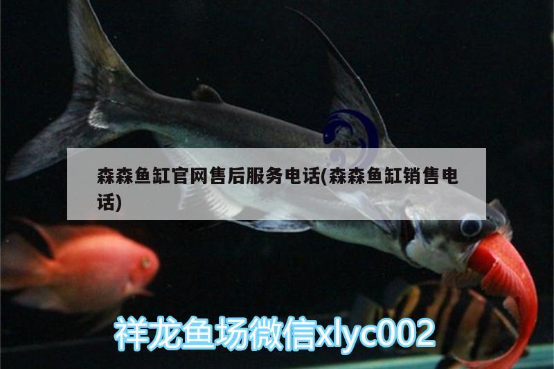 森森魚(yú)缸官網(wǎng)售后服務(wù)電話(森森魚(yú)缸銷售電話)