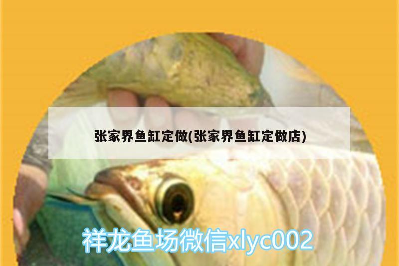 張家界魚缸定做(張家界魚缸定做店)