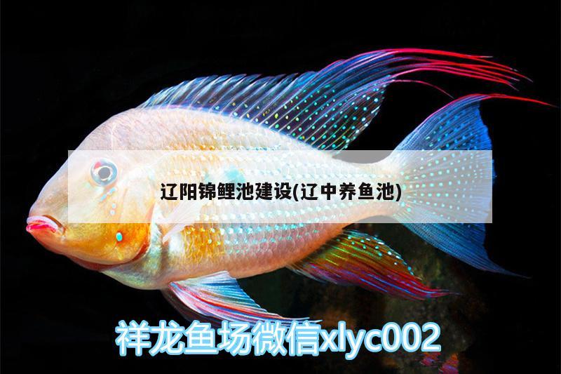 遼陽(yáng)錦鯉池建設(shè)(遼中養(yǎng)魚(yú)池) 除藻劑