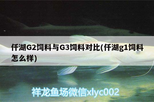 仟湖G2飼料與G3飼料對比(仟湖g1飼料怎么樣)