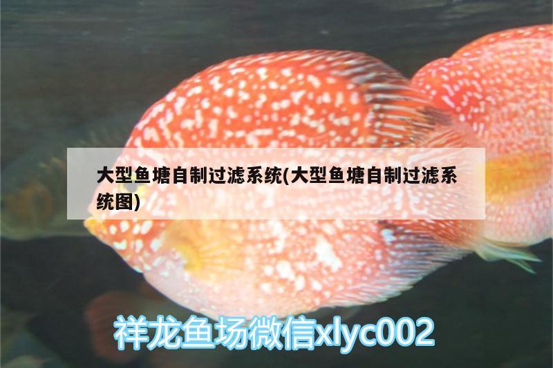 大型魚塘自制過濾系統(tǒng)(大型魚塘自制過濾系統(tǒng)圖)