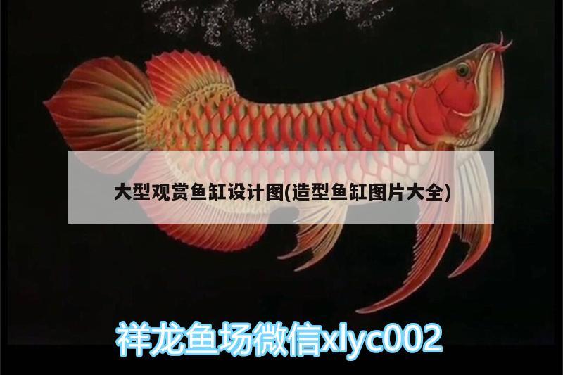 大型觀賞魚缸設計圖(造型魚缸圖片大全)